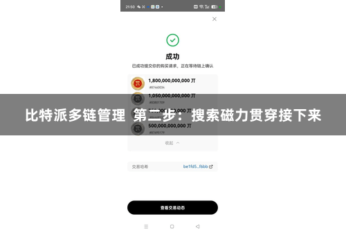 比特派多链管理 第二步:搜索磁力贯穿接下来
